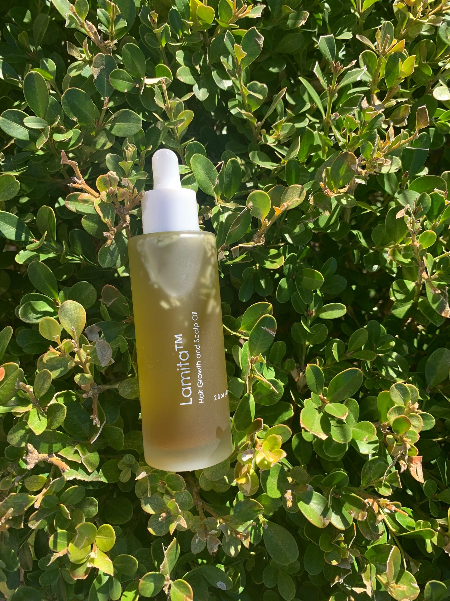 Hair Growth and Scalp Oil